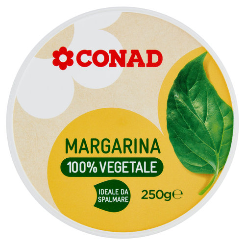 CONAD Margarina 100% Vegetale 250 g