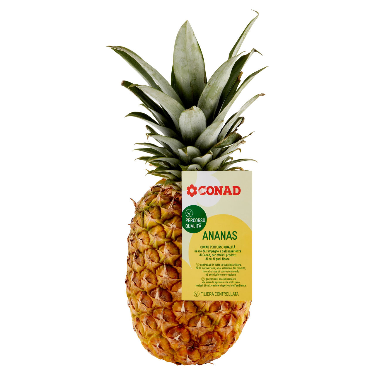 Ananas Gialla Percorso Qualità Conad