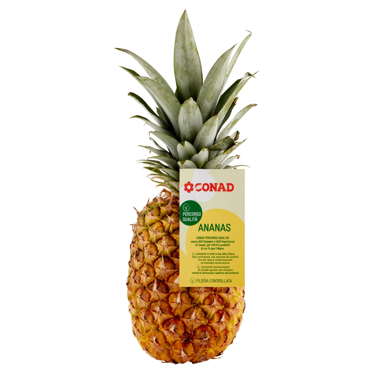 Ananas Gialla Percorso Qualità Conad