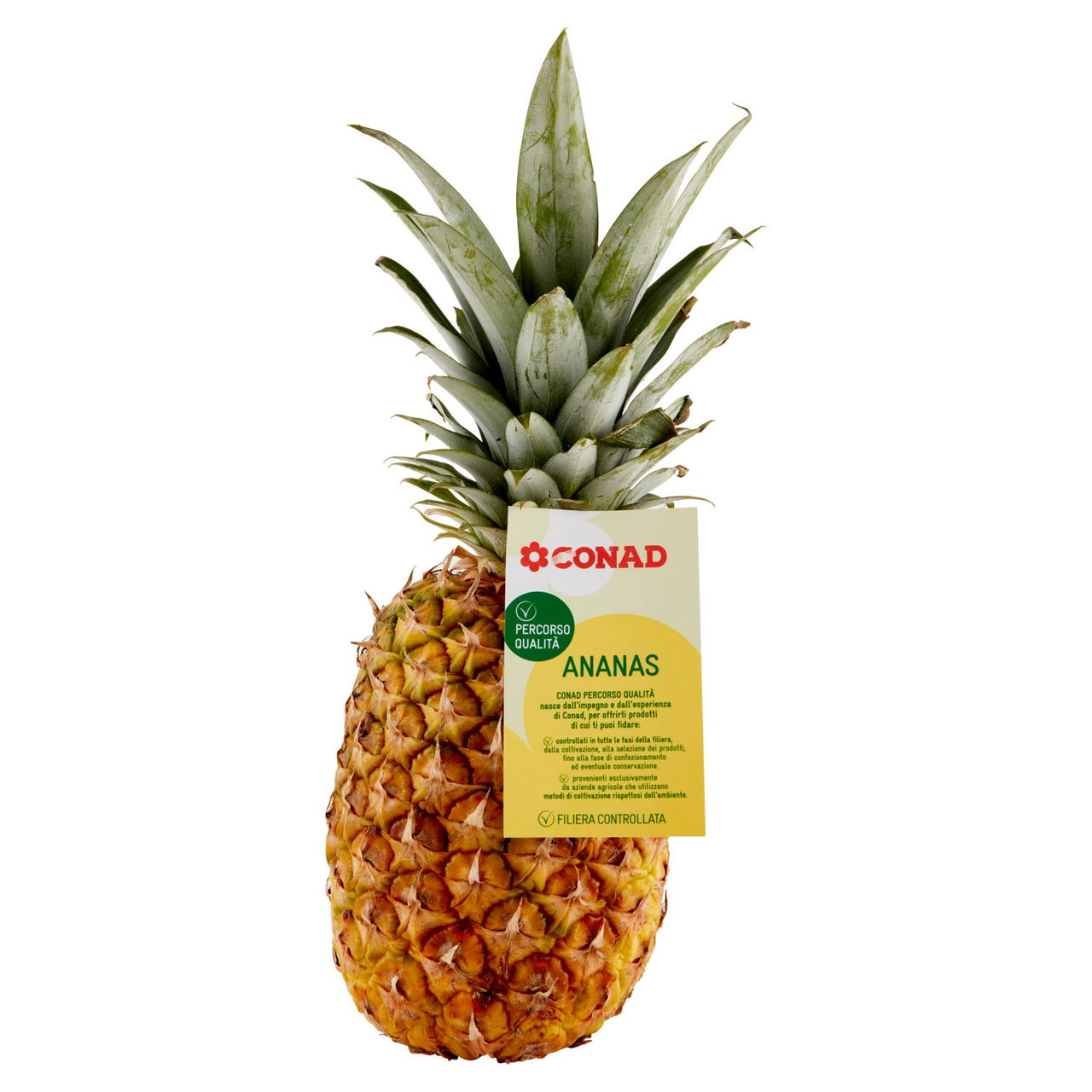 Ananas Gialla Percorso Qualità Conad