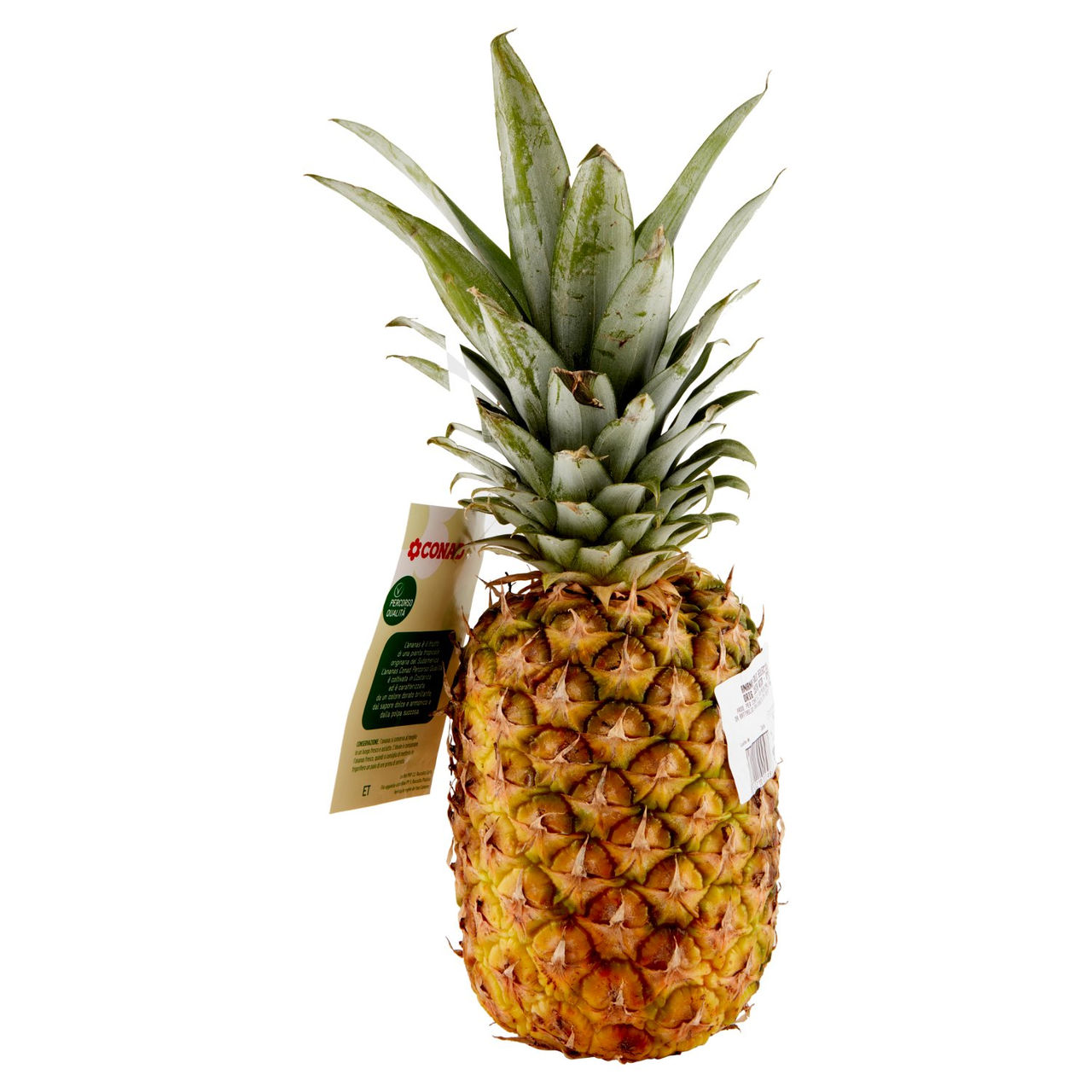 Ananas Gialla Percorso Qualità Conad