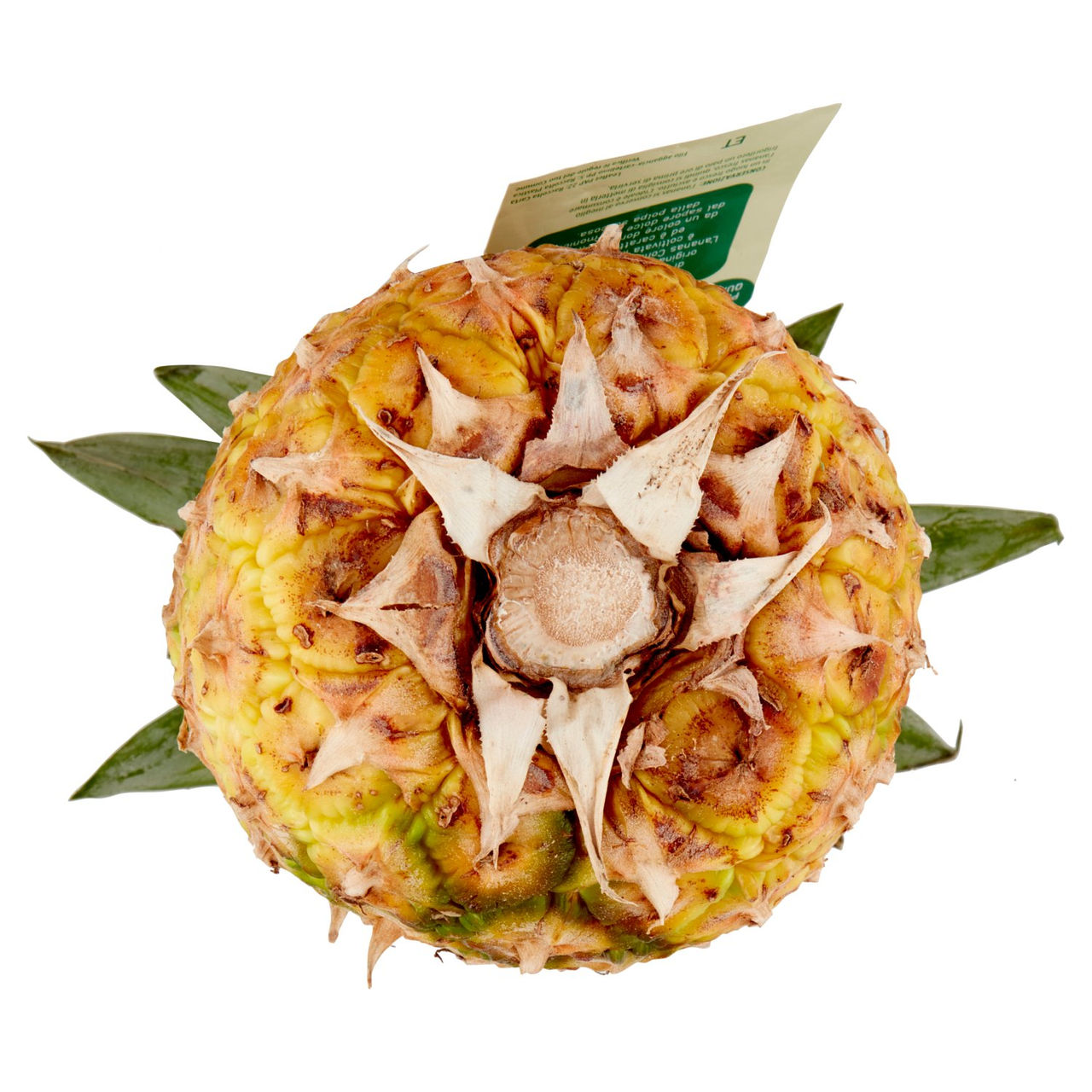 Ananas Gialla Percorso Qualità Conad