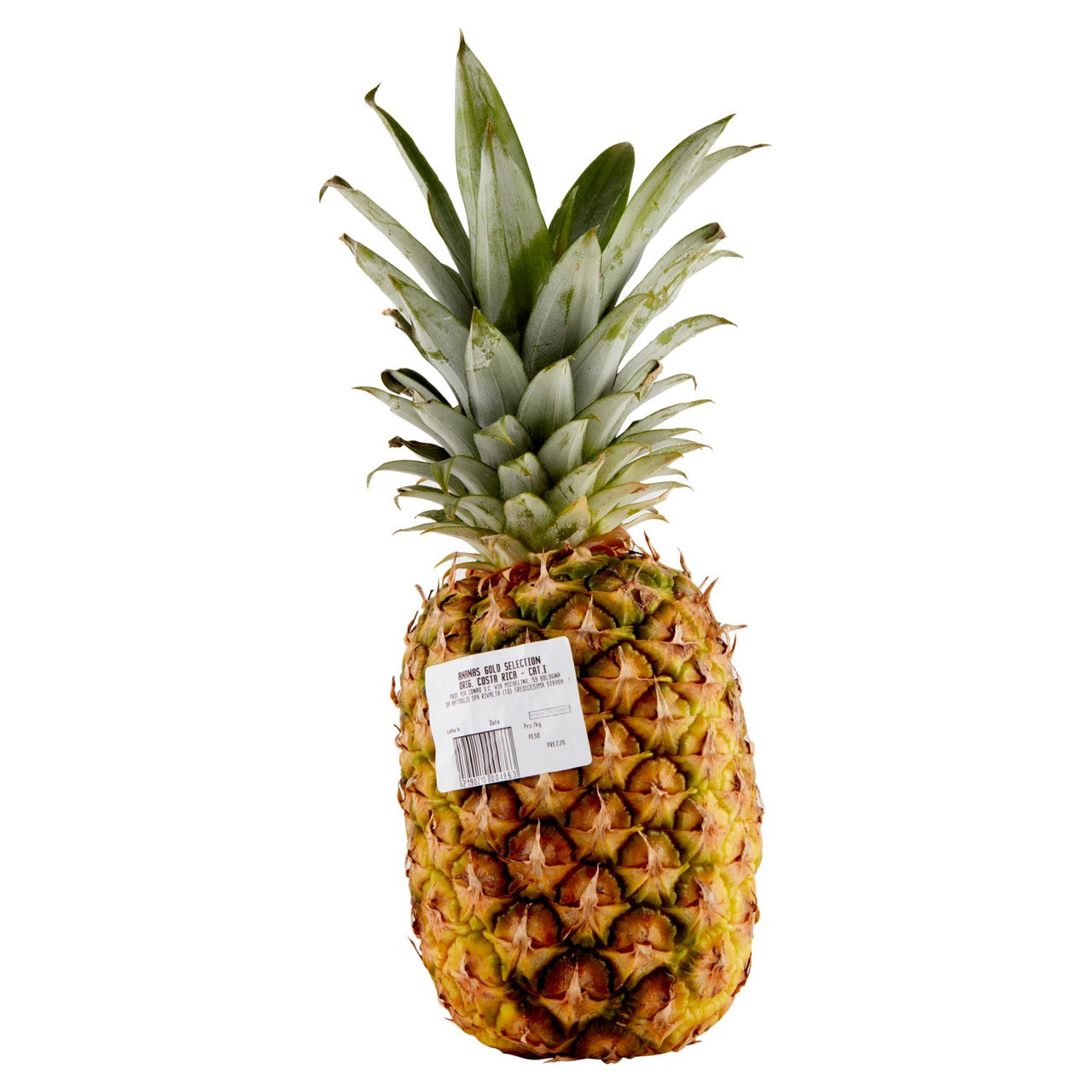 Ananas Gialla Percorso Qualità Conad