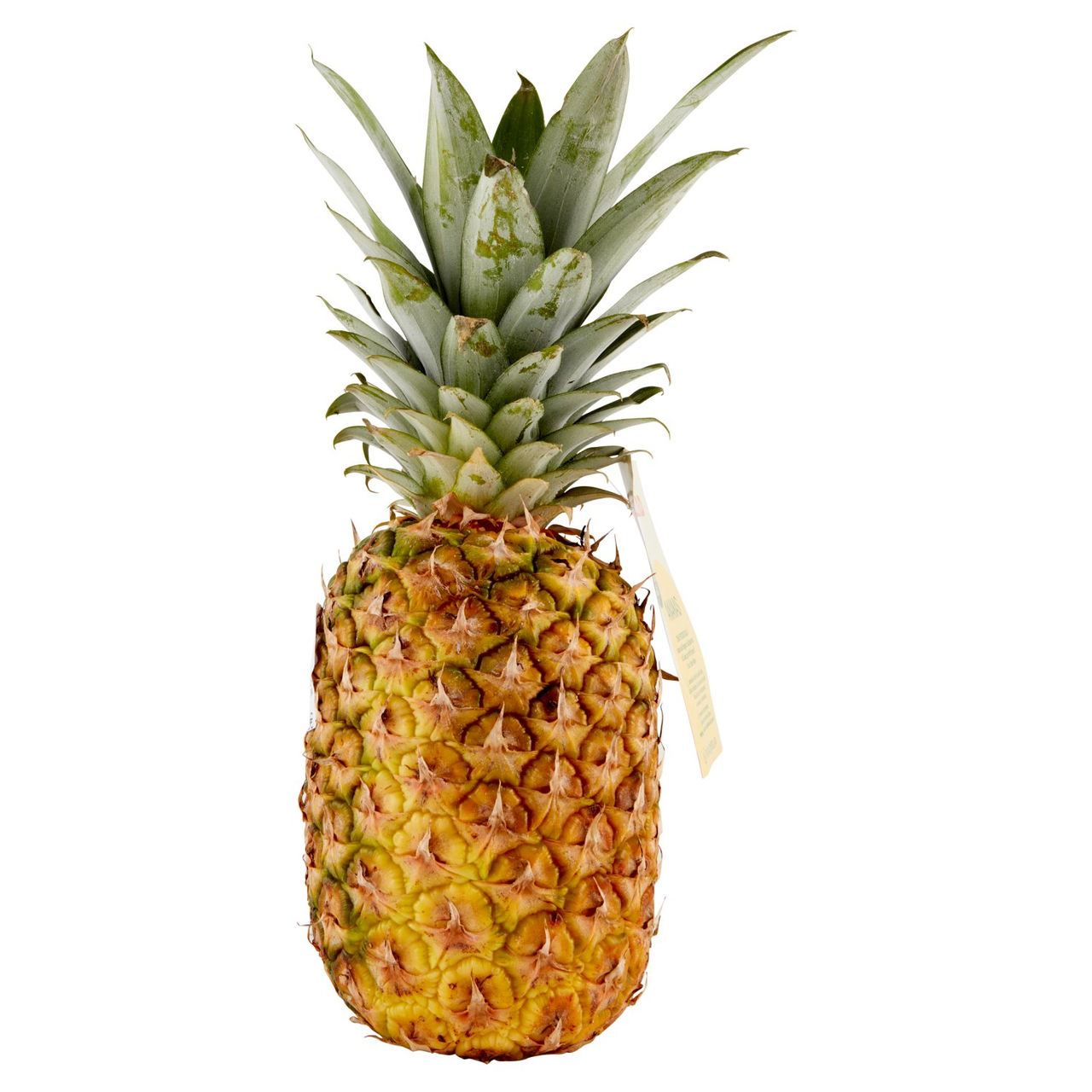 Ananas Gialla Percorso Qualità Conad