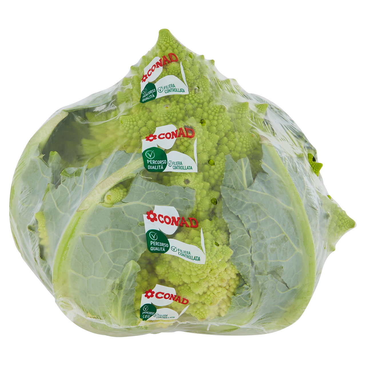 CONAD Percorso Qualità Broccolo Romanesco Italia cal. 130-210 mm