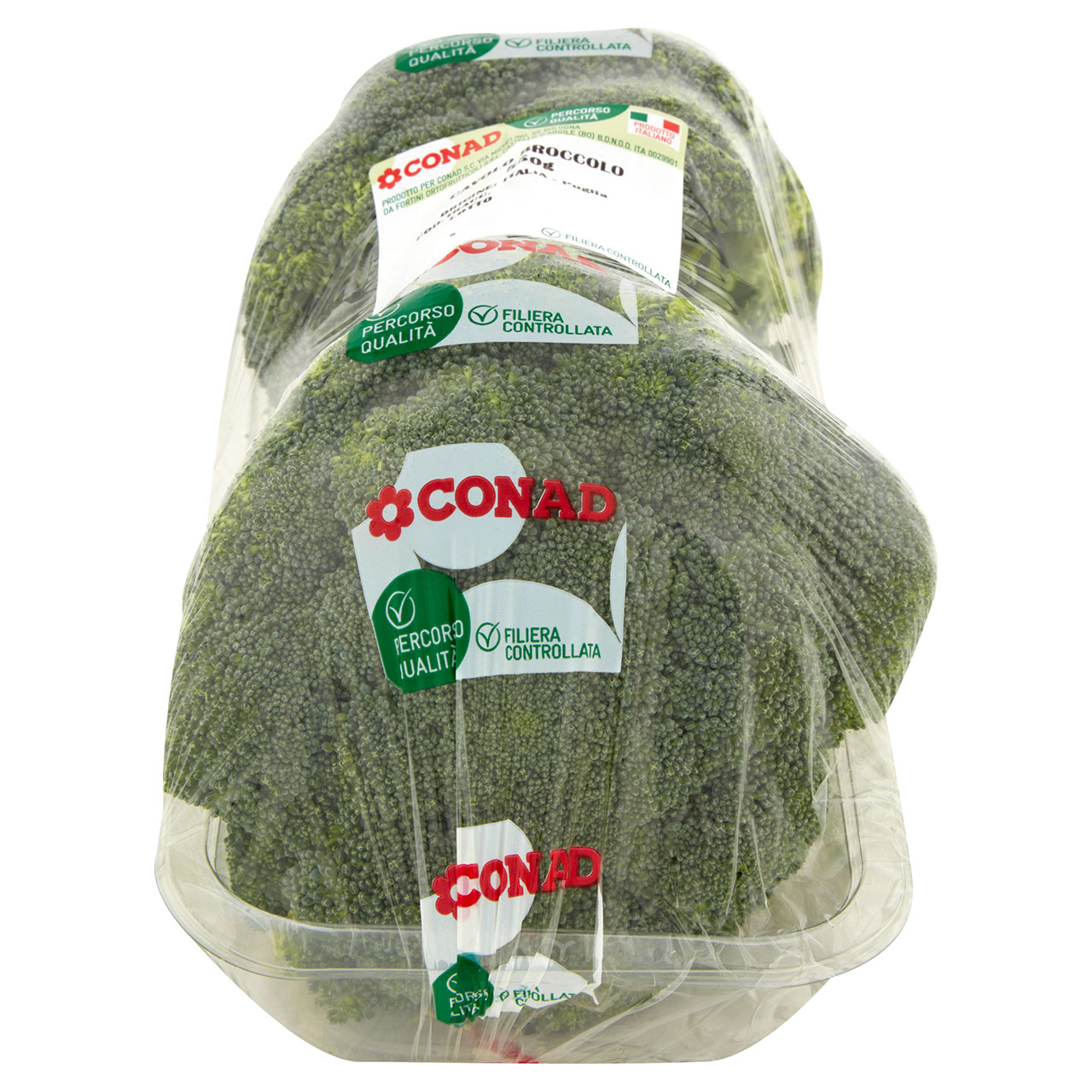 CONAD Percorso Qualità Cavolo Broccolo 550 g
