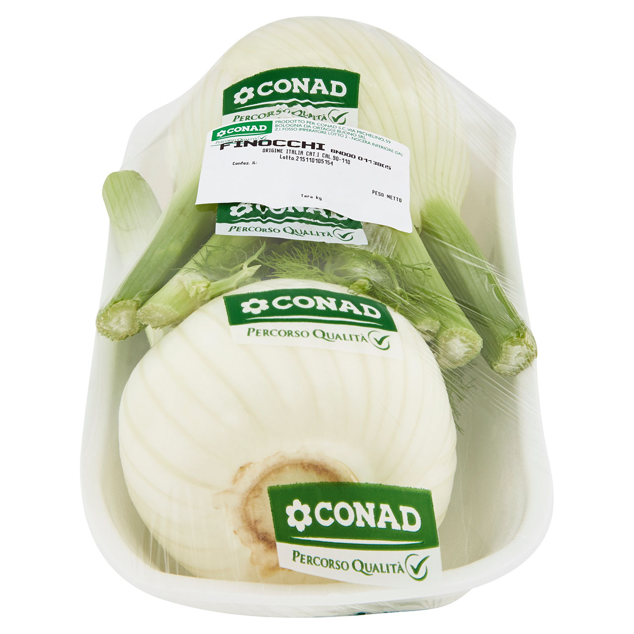 CONAD PERCORSO QUALITÀ Finocchi Italia cal. 90-110