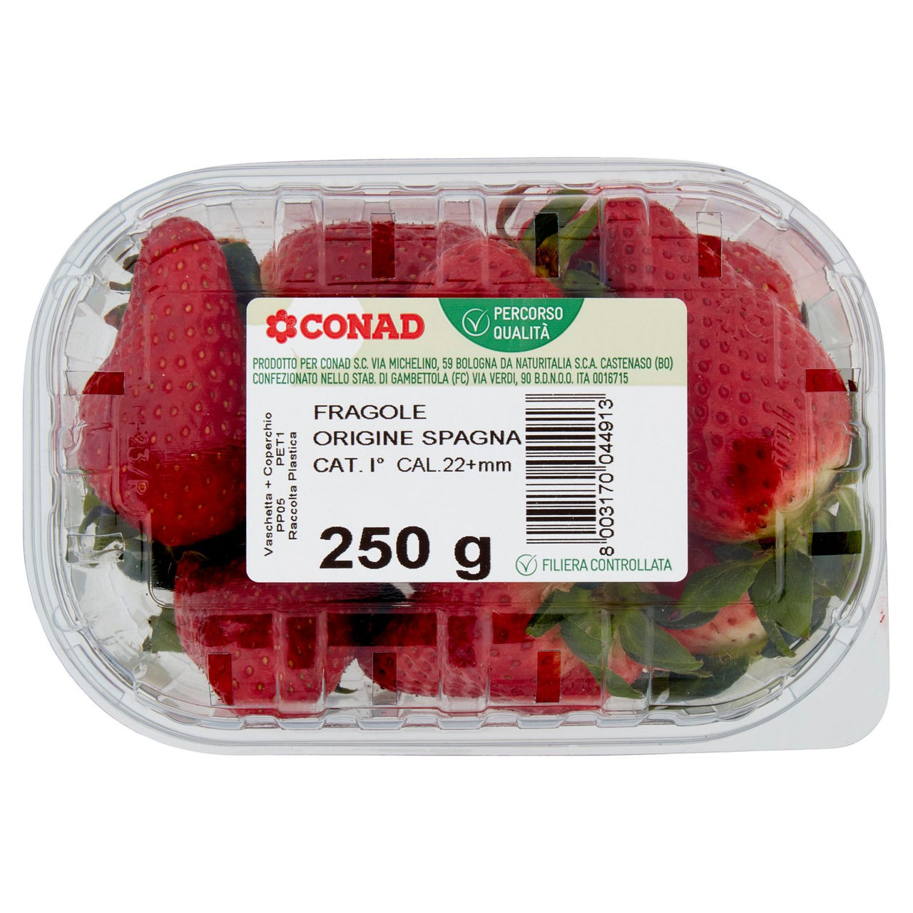 CONAD Percorso Qualità Fragole Spagna Cal. 22 mm 250 g