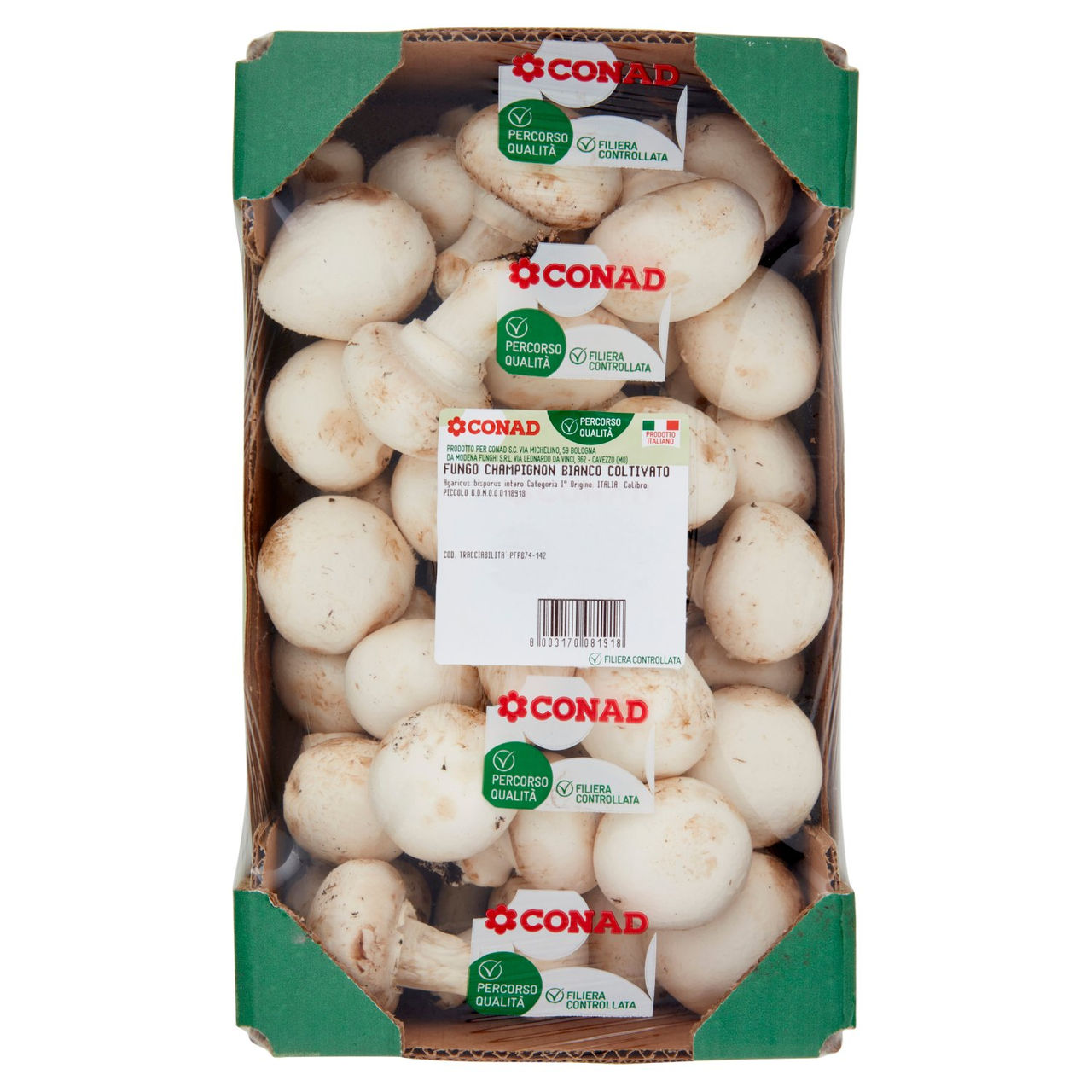 Funghi Champignon Bianco Conad in vendita online