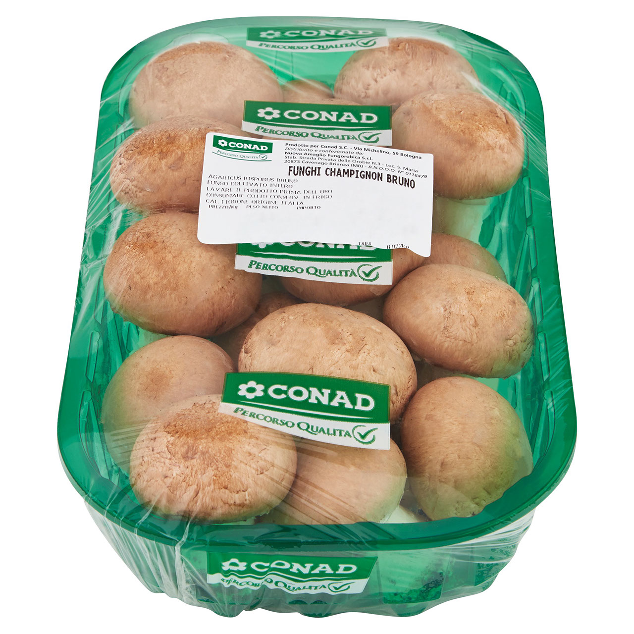 CONAD PERCORSO QUALITÀ Funghi Champignon Bruno Italia cal. fiorone