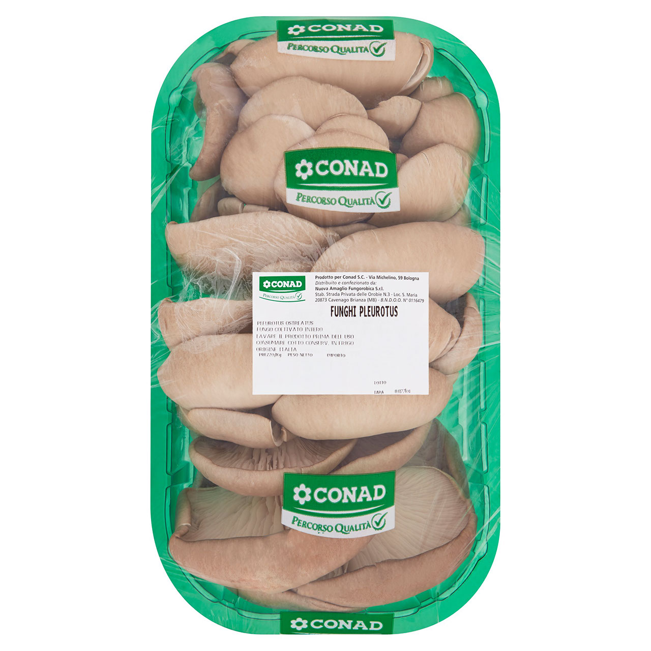 CONAD PERCORSO QUALITÀ Funghi Pleurotus Italia