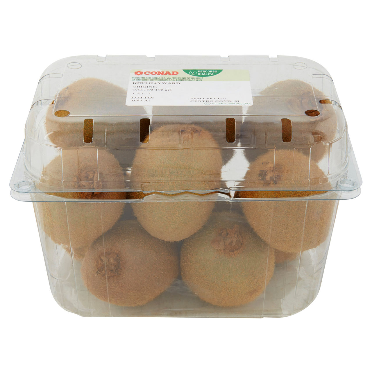 CONAD Percorso Qualità Kiwi Hayward Cile cal. 93/105gr 1 kg