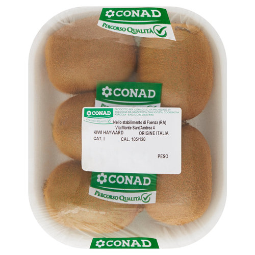 CONAD Percorso Qualità Kiwi Hayward Italia Cal 105/120g 500 g