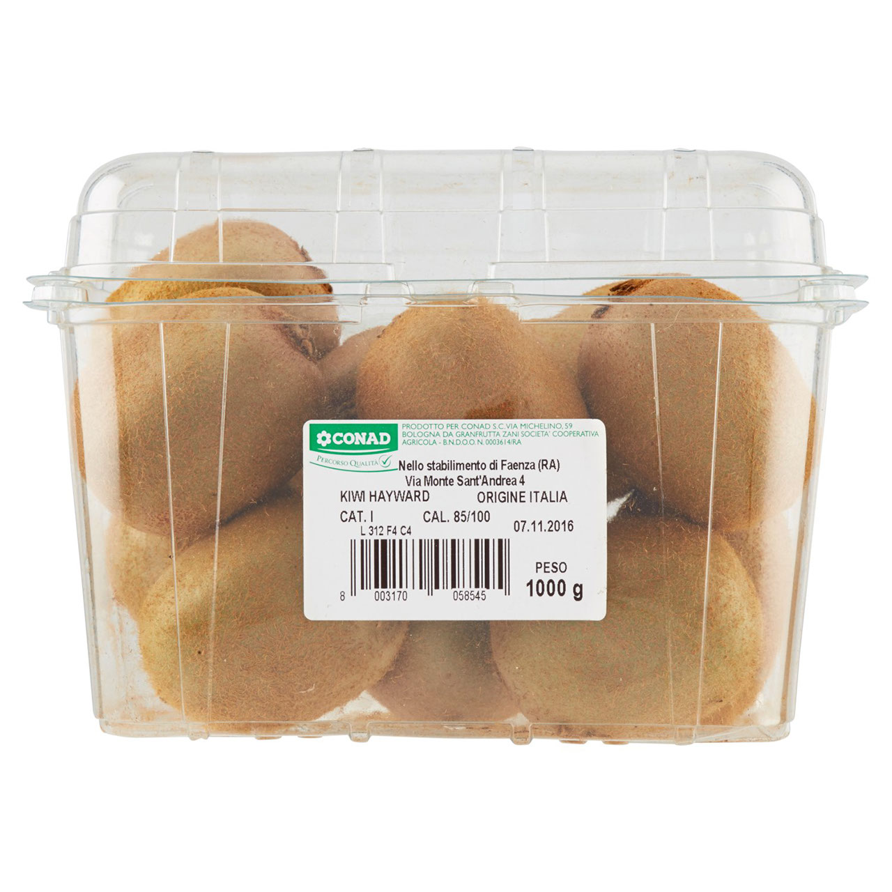 Kiwi Hayward Italia 1000 g Percorso Qualità Conad