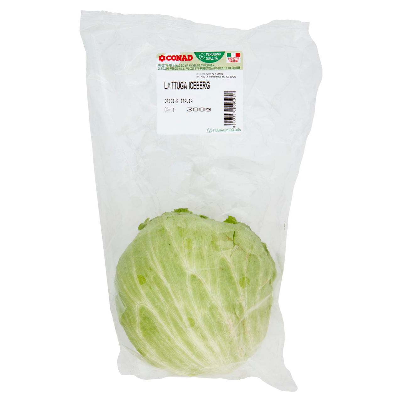 CONAD Percorso Qualità Lattuga Iceberg Italia 300 g