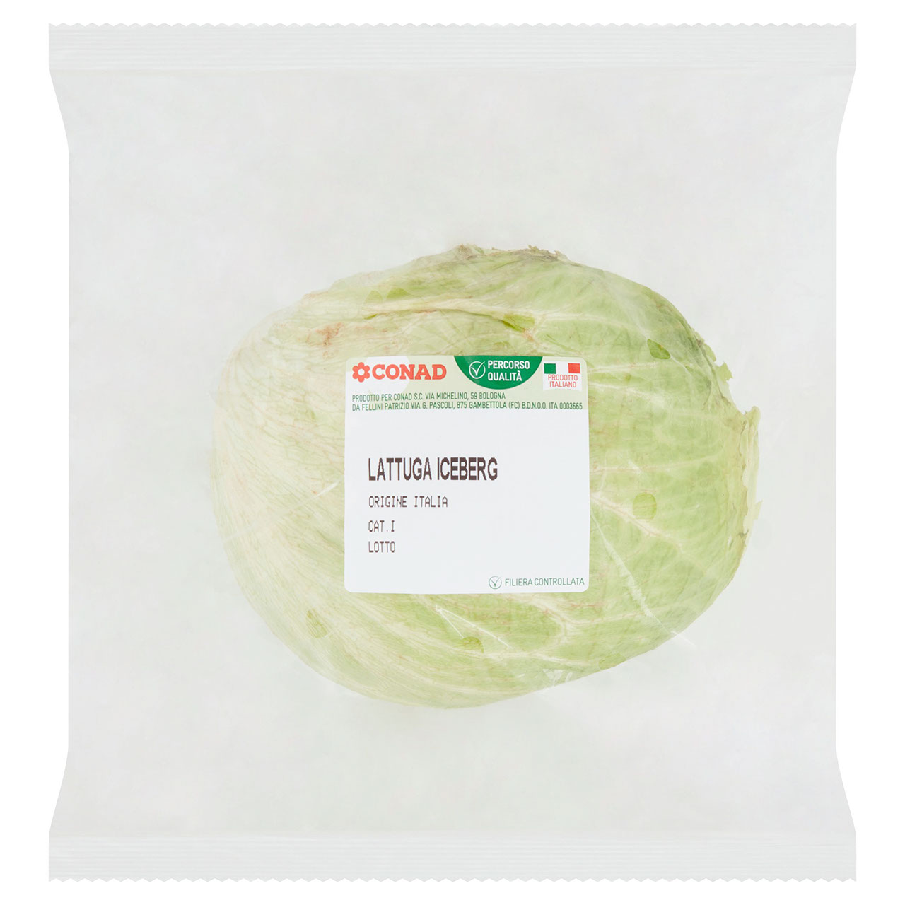 Lattuga Iceberg Italia 400g Conad