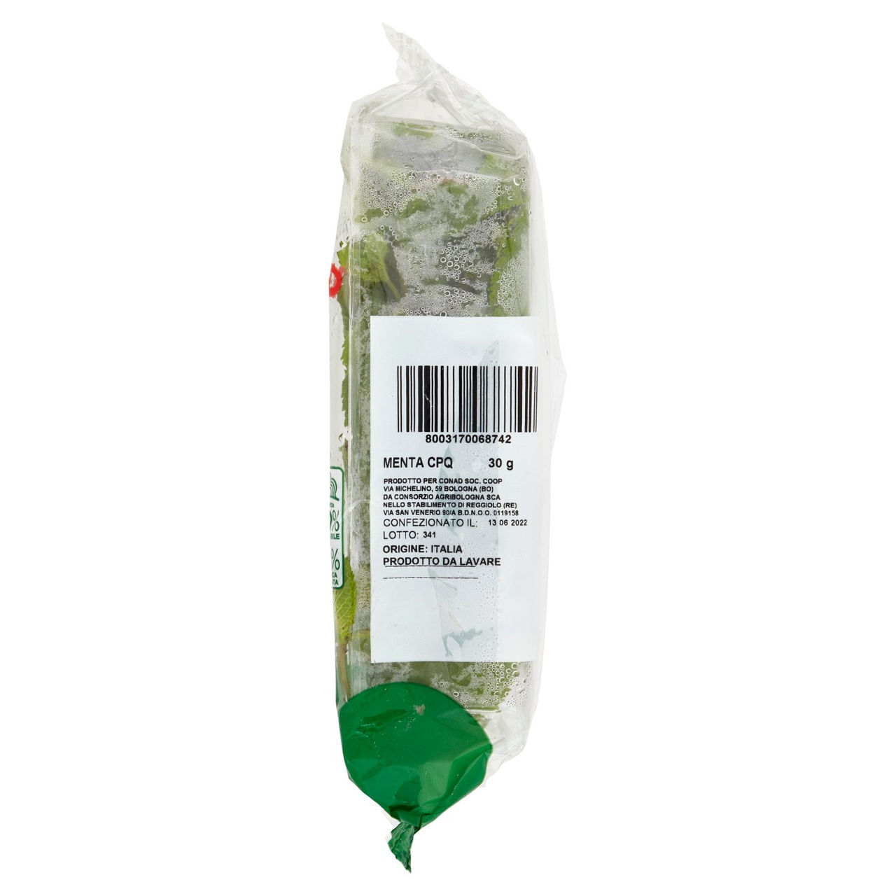 CONAD Percorso Qualità Le Erbe Aromatiche Menta 30 g