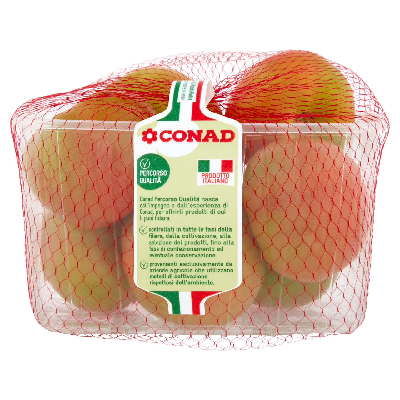 CONAD Percorso Qualità Pomodoro Tondo Verde Italia Cal. 57/67 1000 g