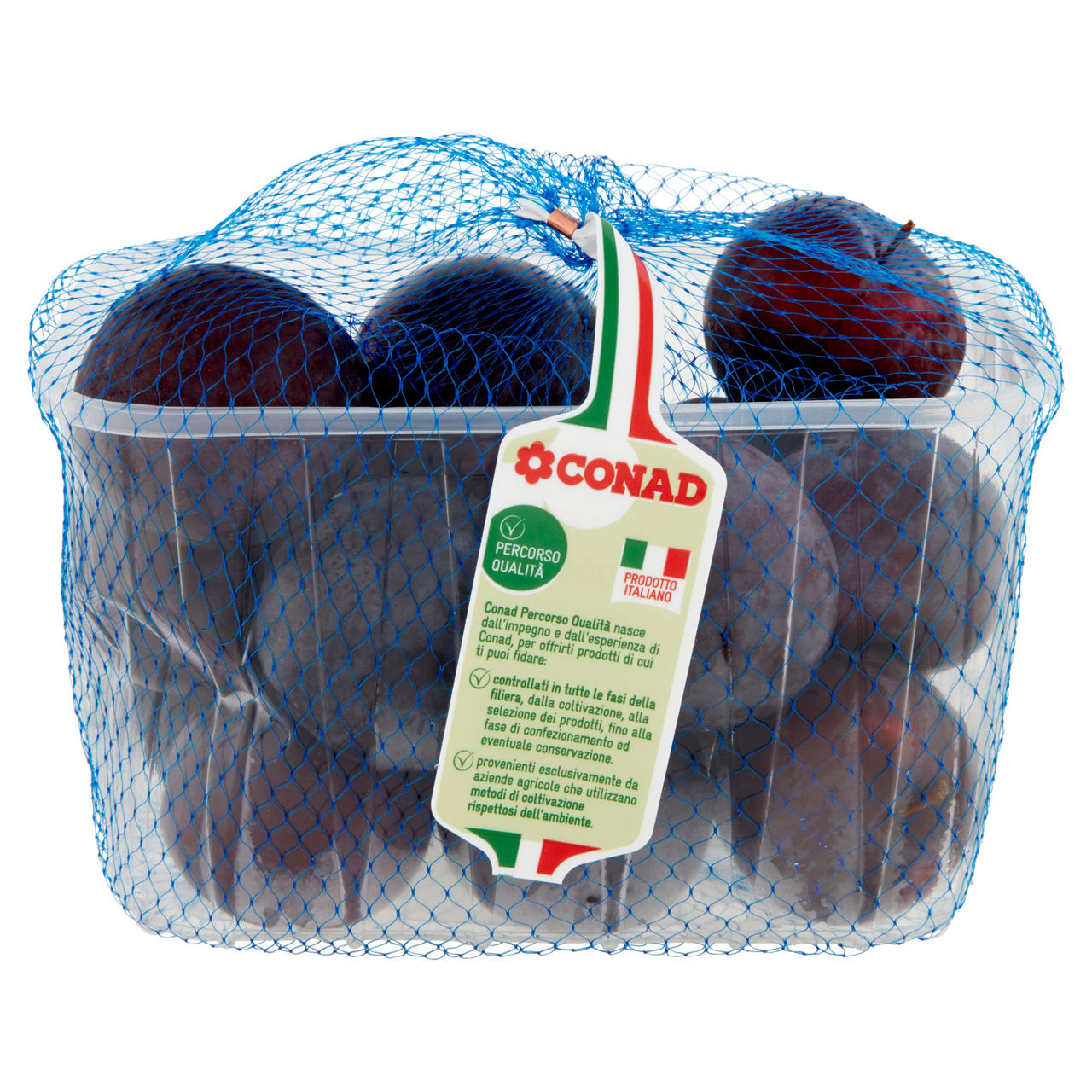 CONAD Percorso Qualità Susine Angeleno Italia Cal: 50/55 mm 1000 g