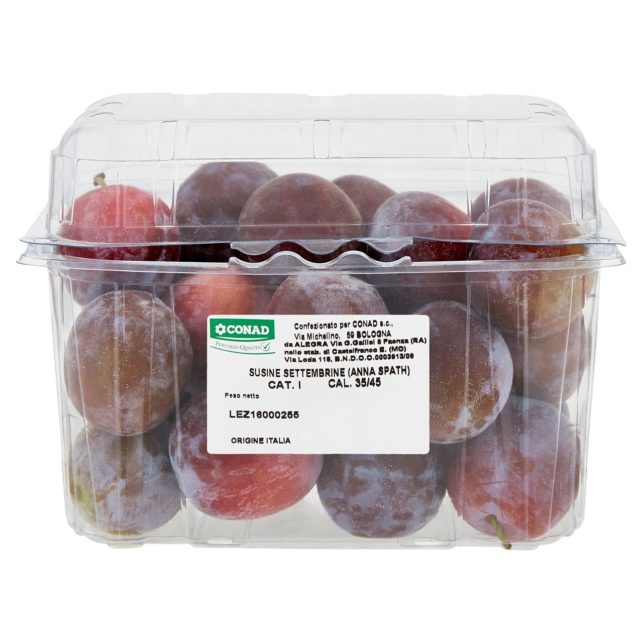 CONAD Percorso Qualità Susine Settembrine (Anna Spath) Italia cal. 35/45 1 kg