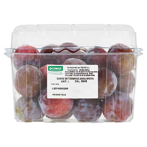 CONAD Percorso Qualità Susine Settembrine (Anna Spath) Italia cal. 35/45 1 kg