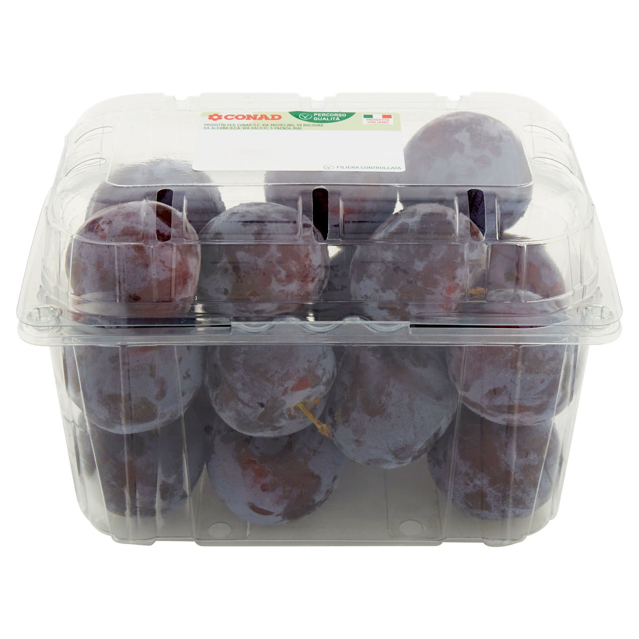 CONAD Percorso Qualità Susine Suplum Twentyeight Italia cal. 40/45 1 kg