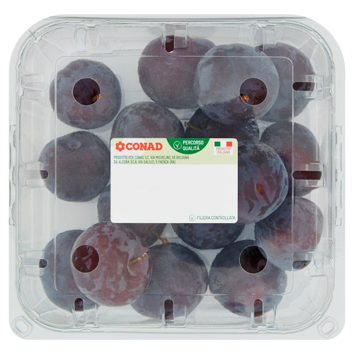 CONAD Percorso Qualità Susine Suplum Twentyeight Italia cal. 40/45 800 g