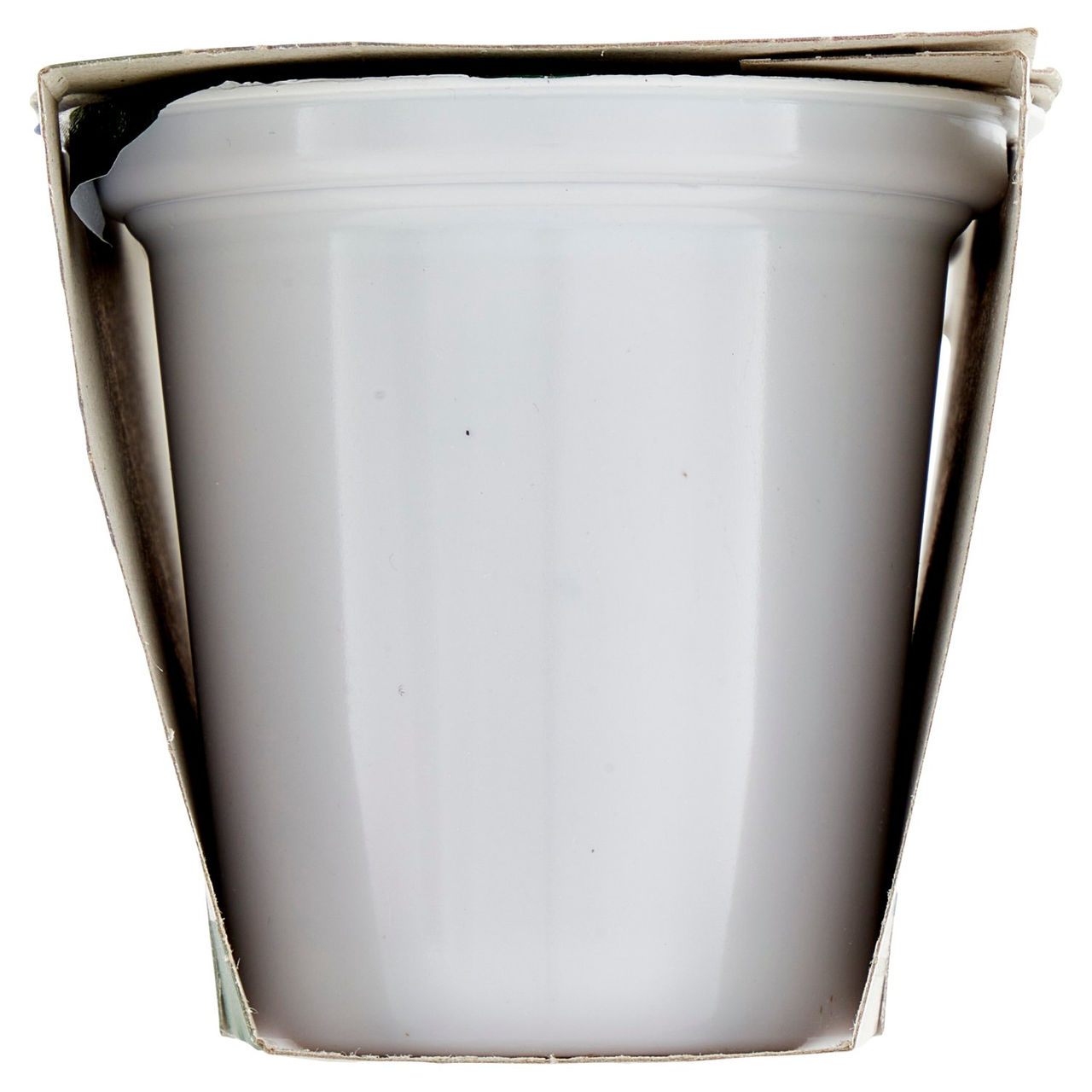 Bio Yogurt Magro Mirtillo Biologico 2x125g Conad