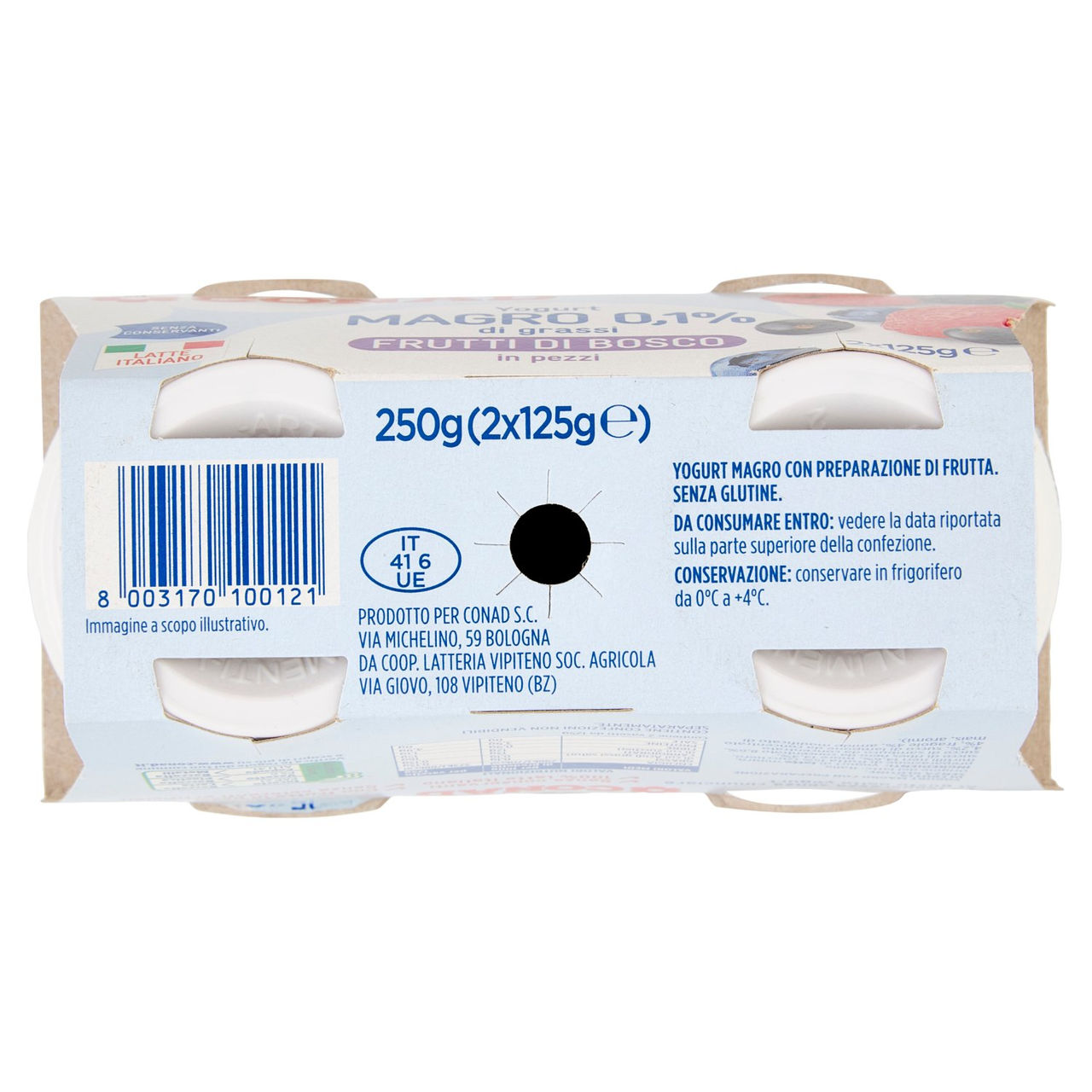CONAD Yogurt Magro 0,1% di grassi Frutti di Bosco in pezzi 2 x 125 g