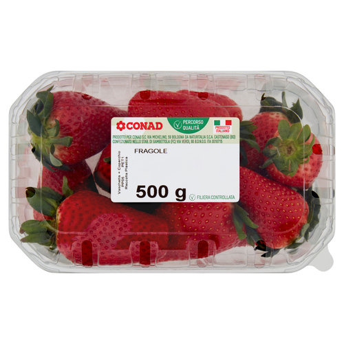 Fragole Italia cal. 22mm 500 g Percorso Qualità Conad