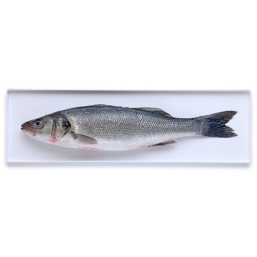 Percorso Qualità Branzino 800/1000 Allevato in Italia