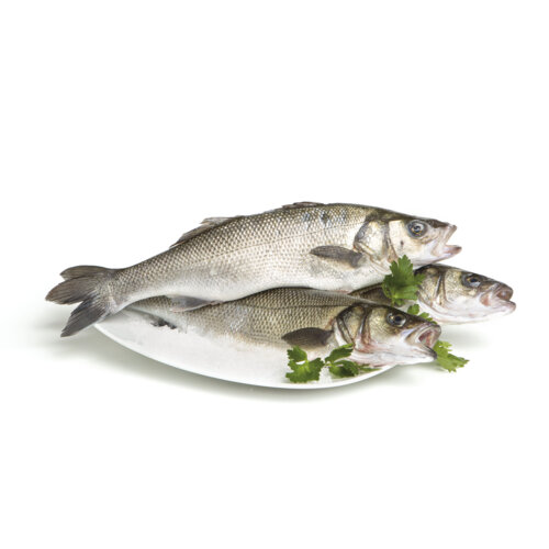 Percorso Qualità Branzino 800/1000 Fresco Allevato in Italia CONAD