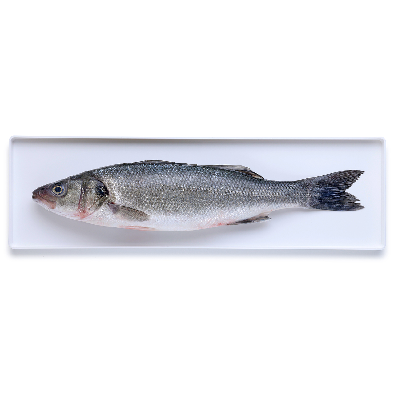 Percorso Qualità Branzino Fresco Allevato in Italia CONAD