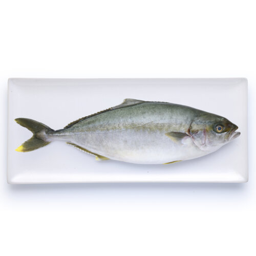 Percorso Qualità Filetti di Ricciola Oceanica 200/500 Antibiotic-Free CONAD