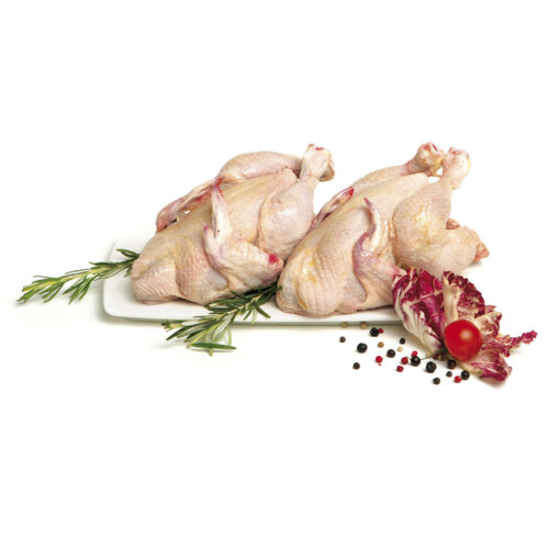 Percorso Qualità Gallo Livornese Intero Antibiotic-free CONAD