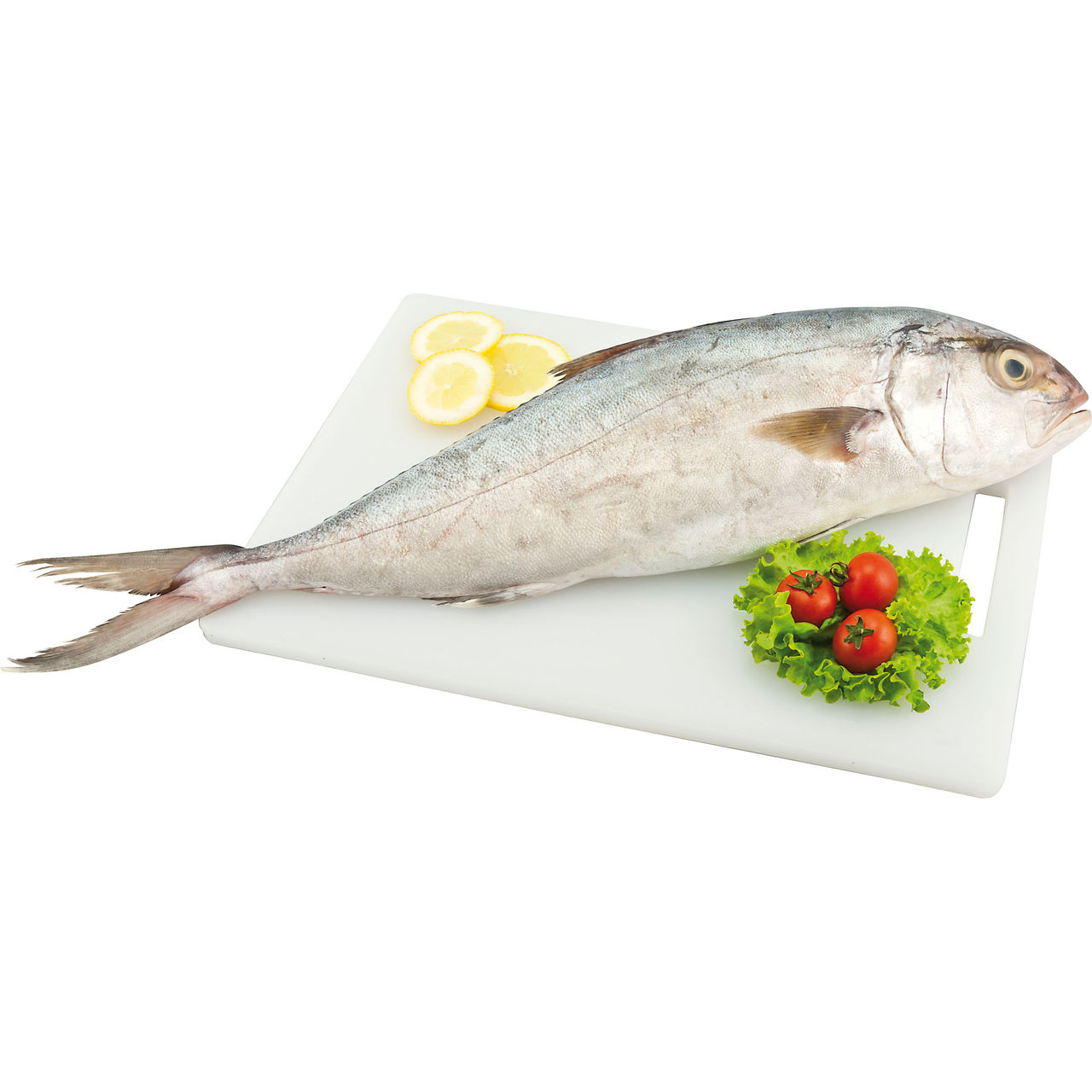 Percorso Qualità Ombrina Boccadoro 600/1000 Allevata in Italia Fresca Eviscerata CONAD