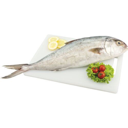 Percorso Qualità Ricciola Oceanica 1300/2000 Fresca Antib-Free CONAD