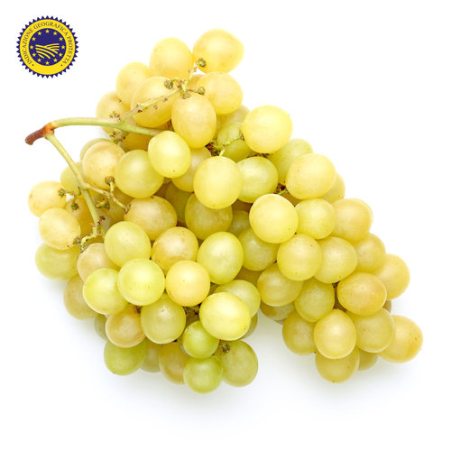 Percorso Qualità Uva Bianca Mazzarone IGP Origine Italia Sicilia Cat. I SAPORI E DINTORNI