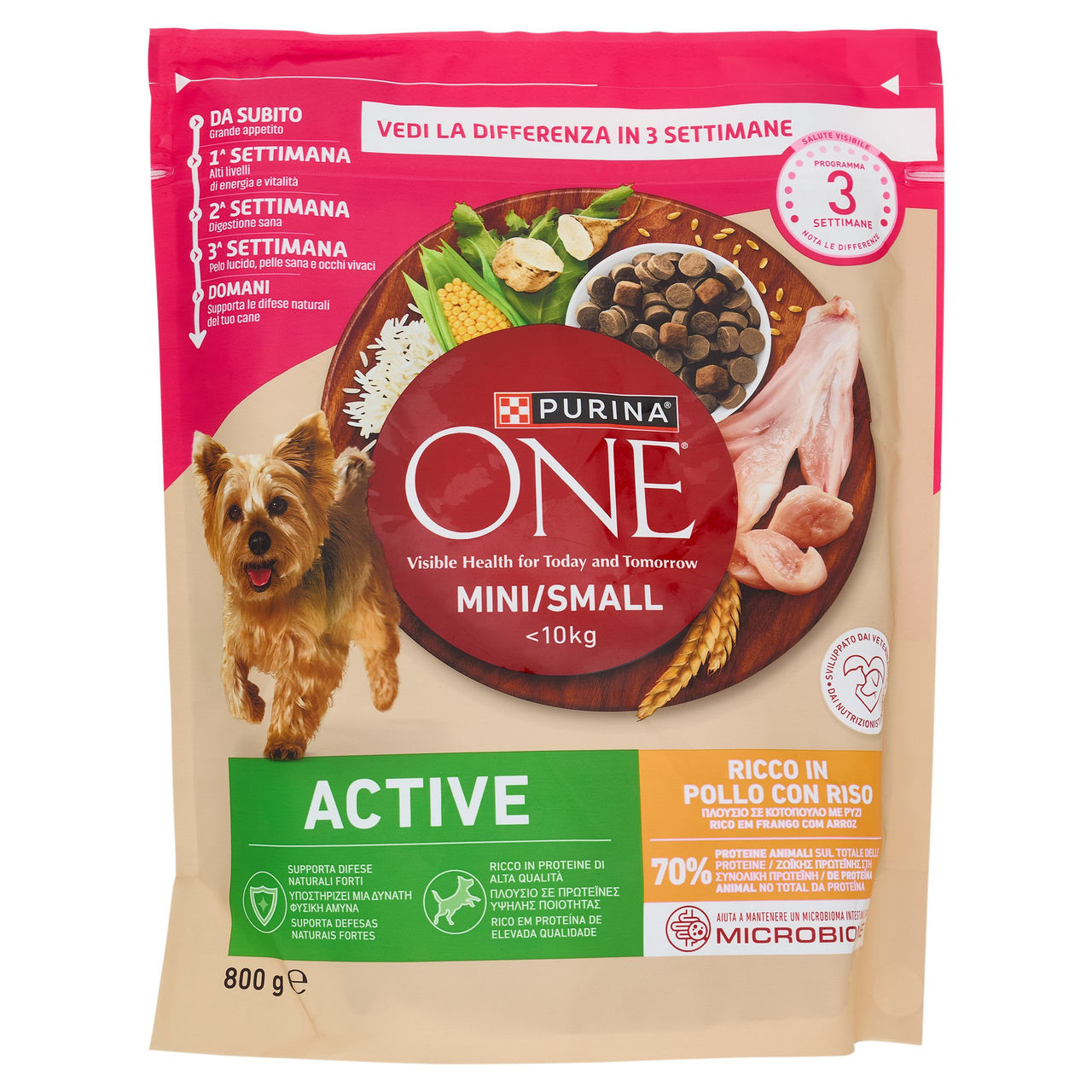 PURINA ONE Mini/Small Active Pollo e Riso 800g