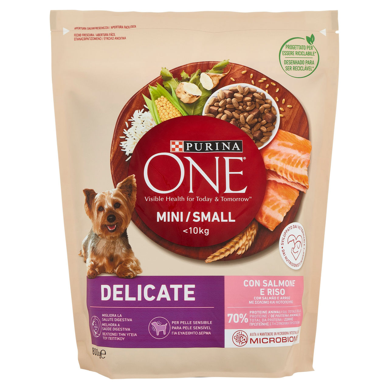 PURINA ONE Mini/Small Delicate Salmone e Riso 800 g