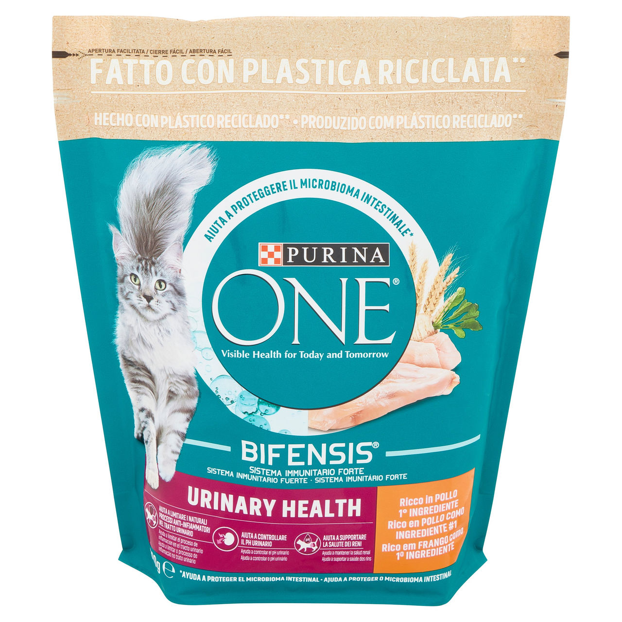PURINA ONE Urinary Health Ricco in Pollo 800 g