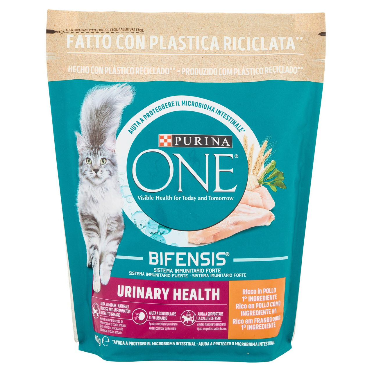 PURINA ONE Urinary Health Ricco in Pollo 800 g