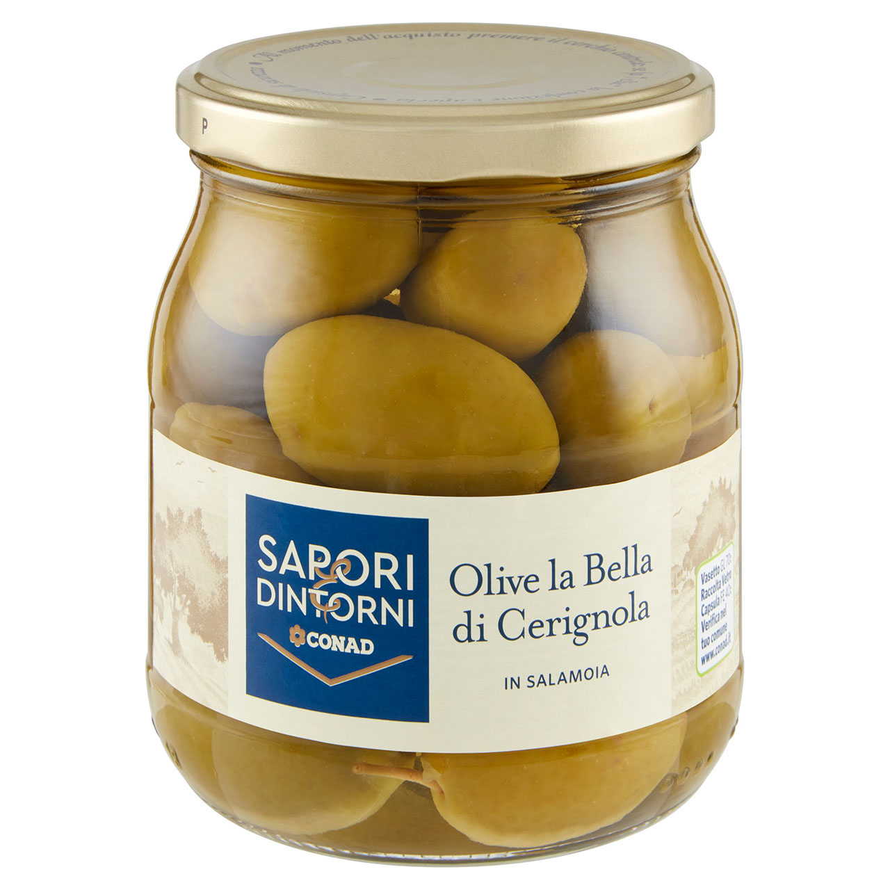 Olive La Bella di Cerignola Salamoia 550g Conad