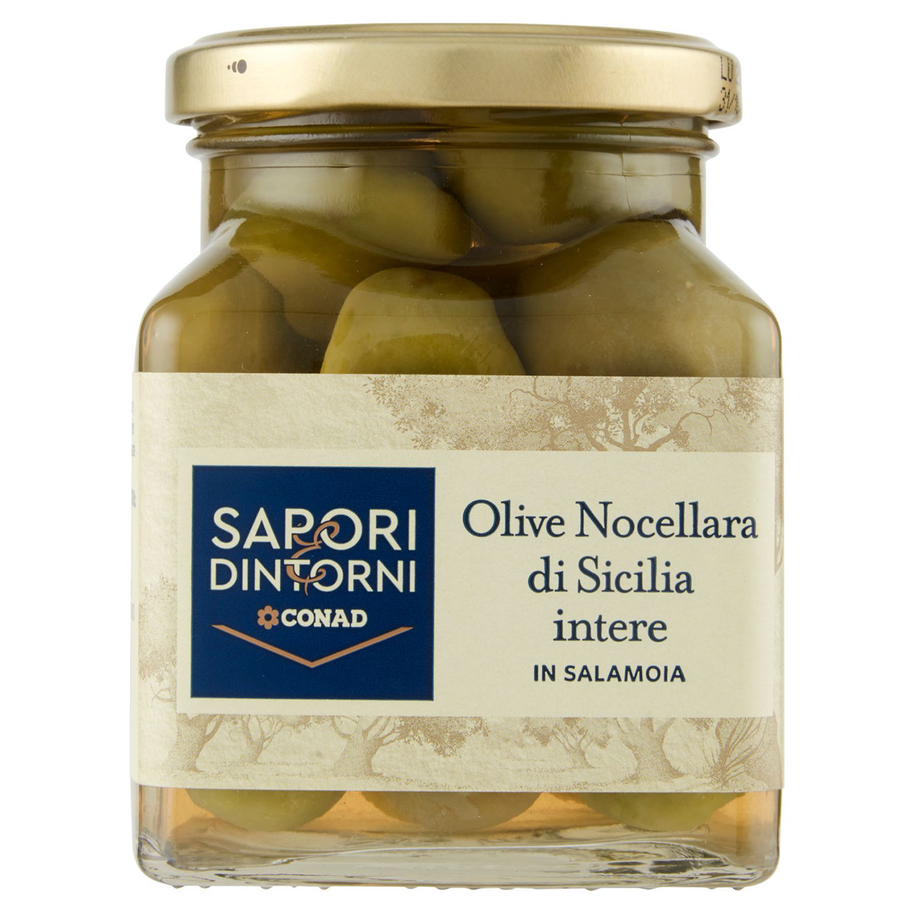 Olive Nocellara di Sicilia intere in Salamoia