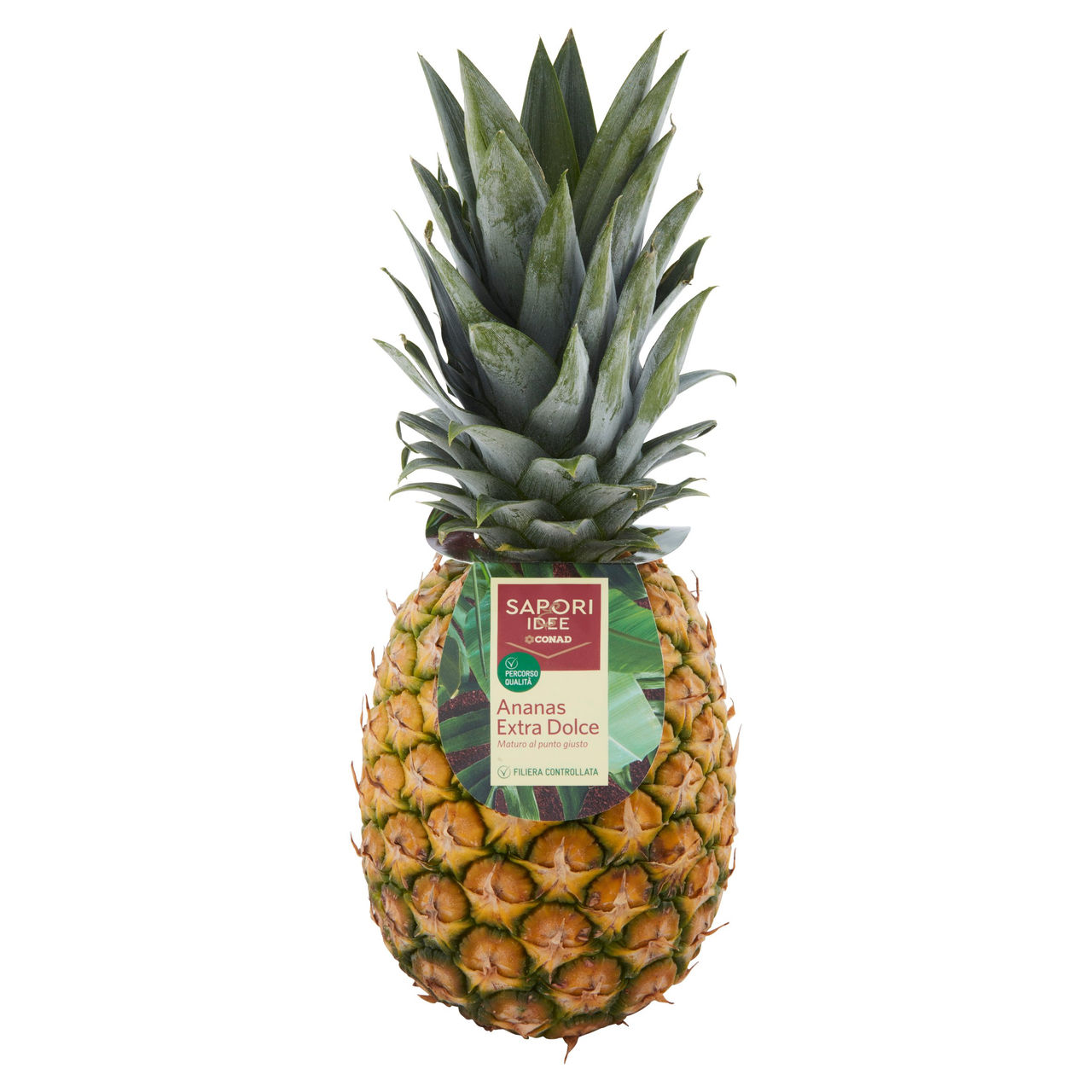 SAPORI & IDEE CONAD Percorso Qualità Ananas Extra Dolce Costa Rica