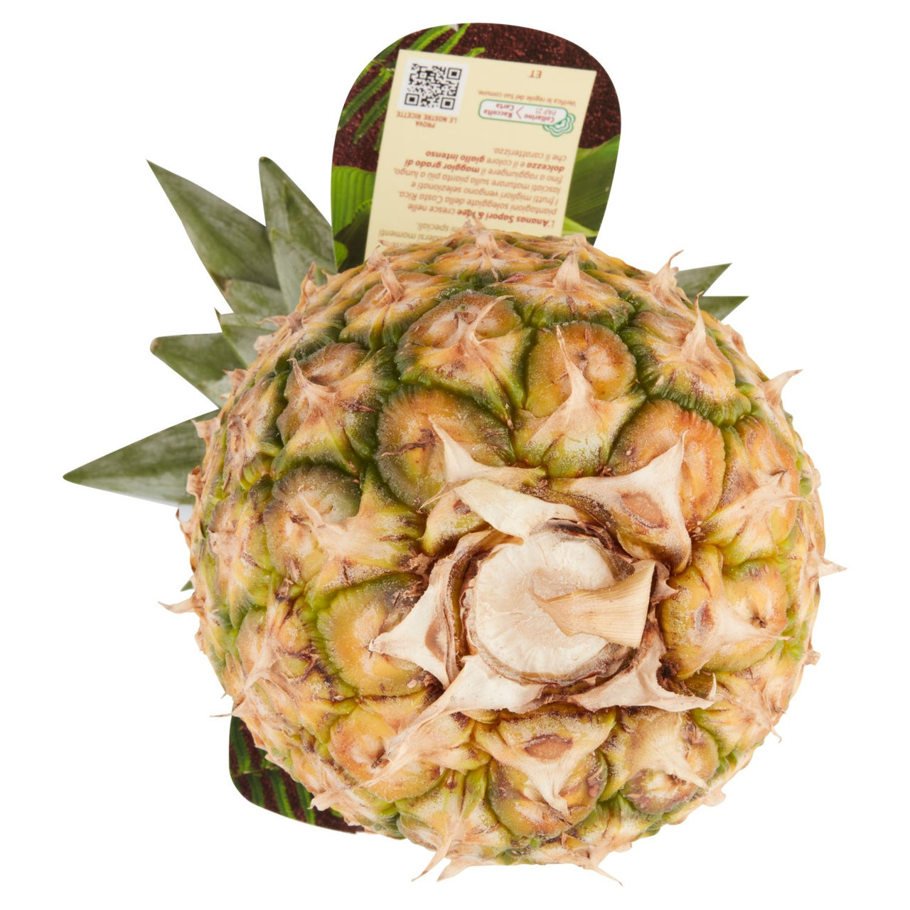 SAPORI & IDEE CONAD Percorso Qualità Ananas Extra Dolce Costa Rica