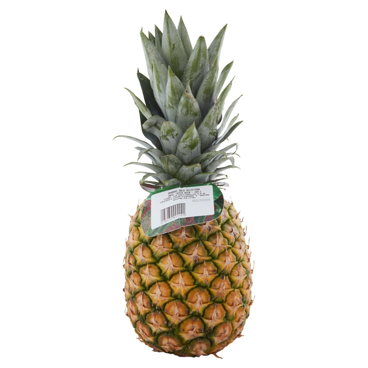SAPORI & IDEE CONAD Percorso Qualità Ananas Extra Dolce Costa Rica