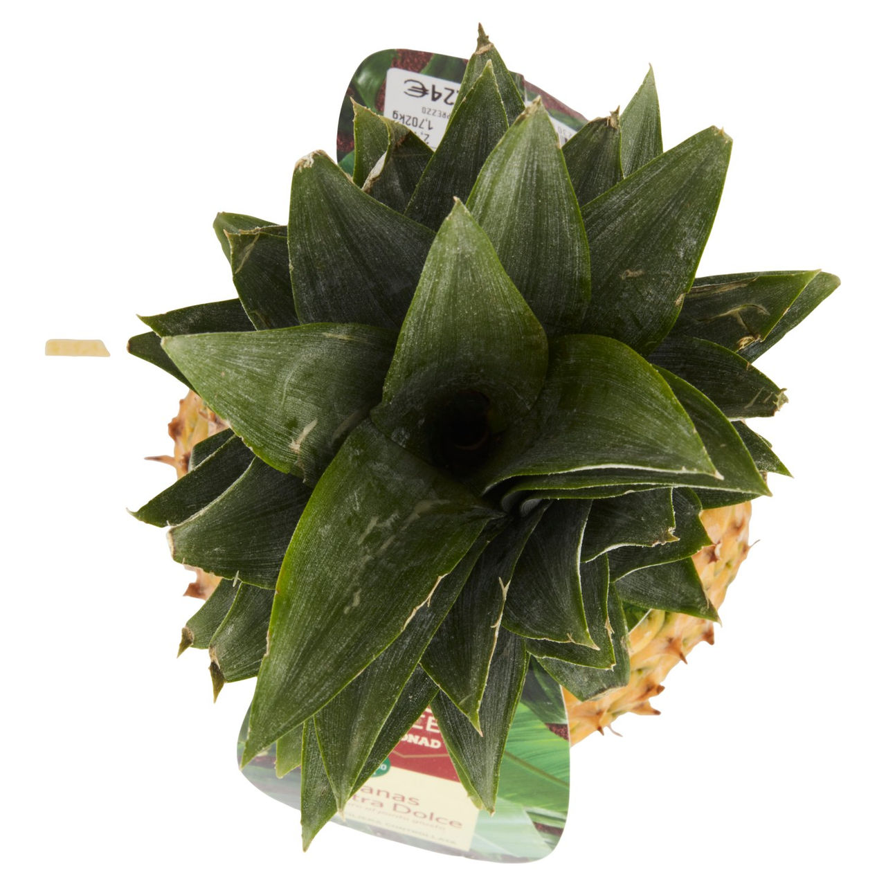 SAPORI & IDEE CONAD Percorso Qualità Ananas Extra Dolce Costa Rica