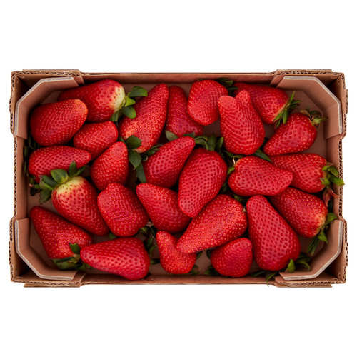 SAPORI & IDEE CONAD Percorso Qualità Fragole NSG 203 Italia Cal. 25  mm 1000 g