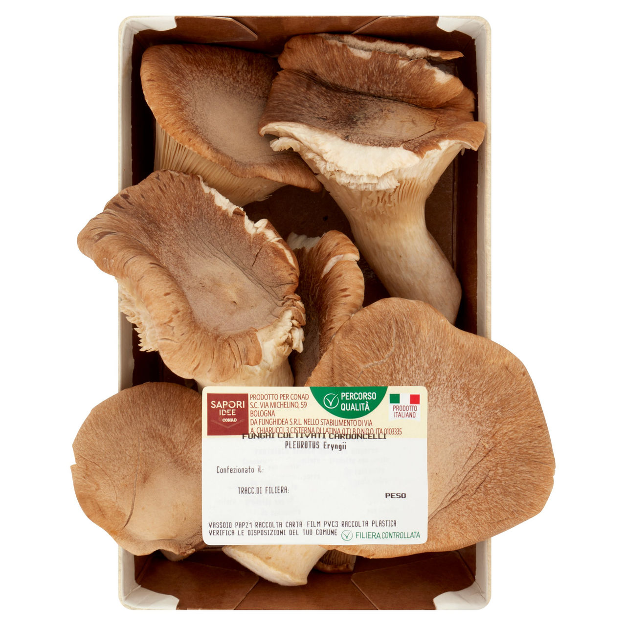 SAPORI & IDEE CONAD Percorso Qualità Funghi Coltivati Cardoncelli 200 g